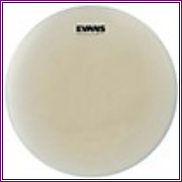 Evans 14'' Orchestral 200 Snare Side from Music & Arts
