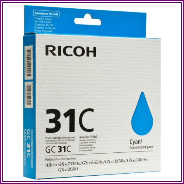 Ricoh GC31 ink from 123Inkjets.com