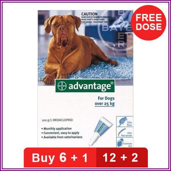 Advantage Extra Large Dogs Over 55 Lbs Blue 12 + 4 Free from Canada Pet Care