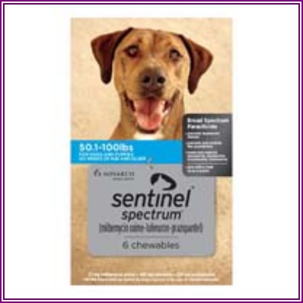 Sentinel Spectrum Blue For Dogs 50.1-100 Lbs 6 Chews from Budget Pet Care