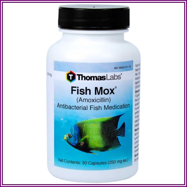 Fish Mox (Amoxicillin) - 250mg (30 capsules) from EntirelyPets