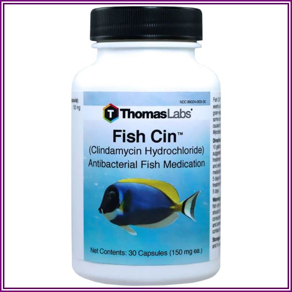 Thomas Labs Fish Cin 150mg (30 count) from EntirelyPets