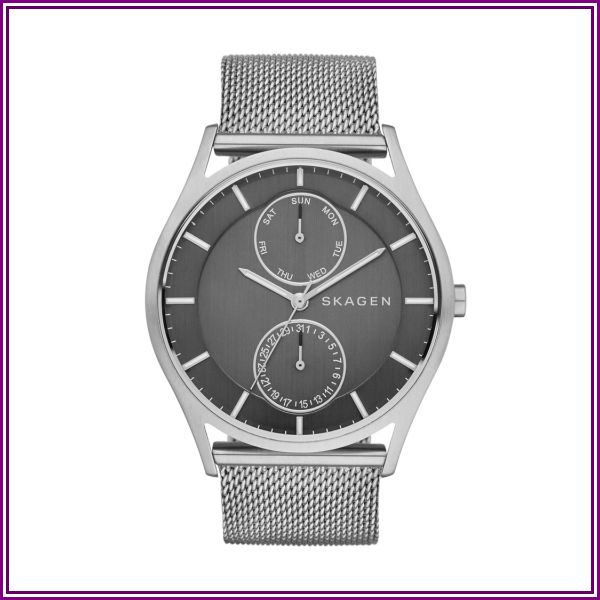 Holst Steel Mesh Multifunction Watch - SKW6172 from Watch Station