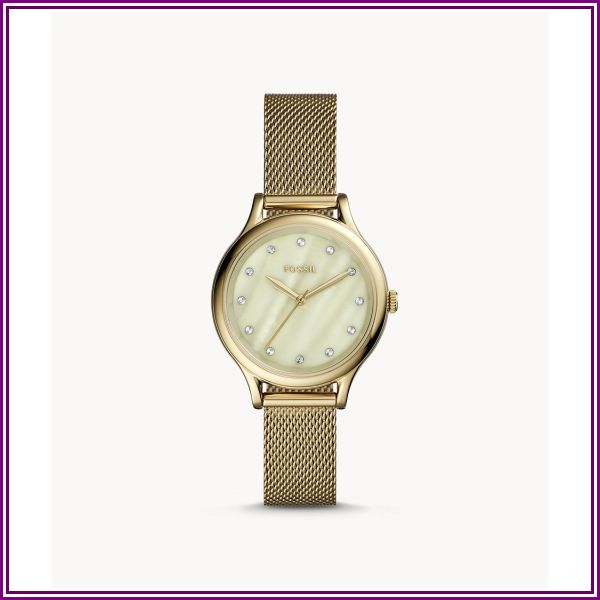 Laney Three-Hand Gold-Tone Stainless Steel Watch Jewelry from Watch Station