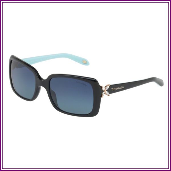 TF 4047B Sunglasses Black from Eyeglasses.com