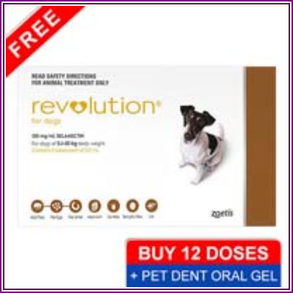 Revolution Small Dogs 10.1 - 20lbs Brown 6 Doses from Budget Pet Care