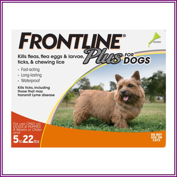 Frontline Plus Small Dogs 0-22 Lbs (Orange) 6 Doses from Pet Care Supplies