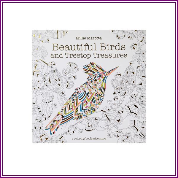 Beautiful Birds Coloring Book from MisterArt.com